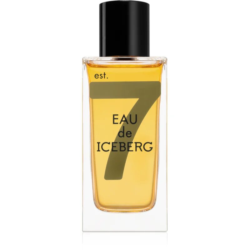 Iceberg Eau de Amber toaletna voda za moške 100 ml