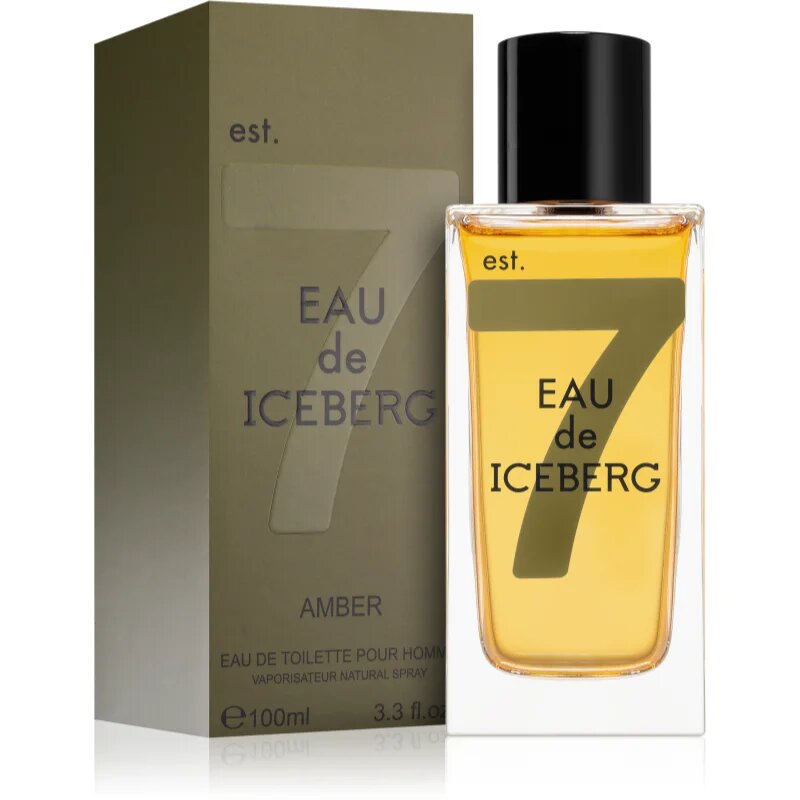 Iceberg Eau de Amber toaletna voda za moške 100 ml