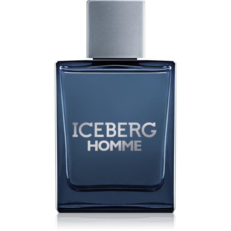 Iceberg Homme toaletna voda za moške 100 ml