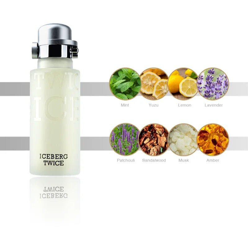 Iceberg Twice pour Homme toaletna voda za moške 125 ml