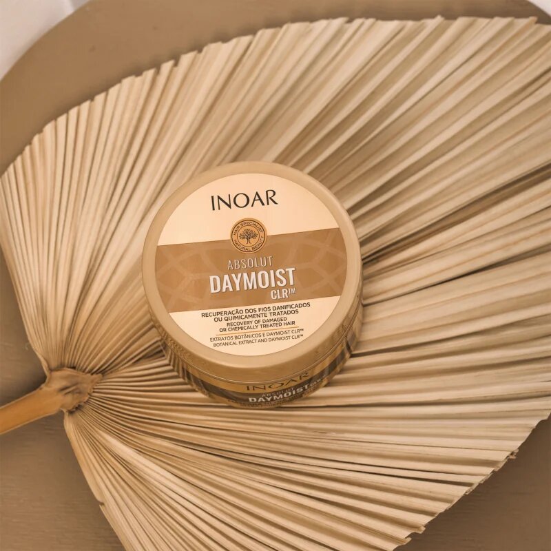INOAR Absolut Daymoist CLR™ intenzivna vlažilna maska za suhe in barvane lase 250 g