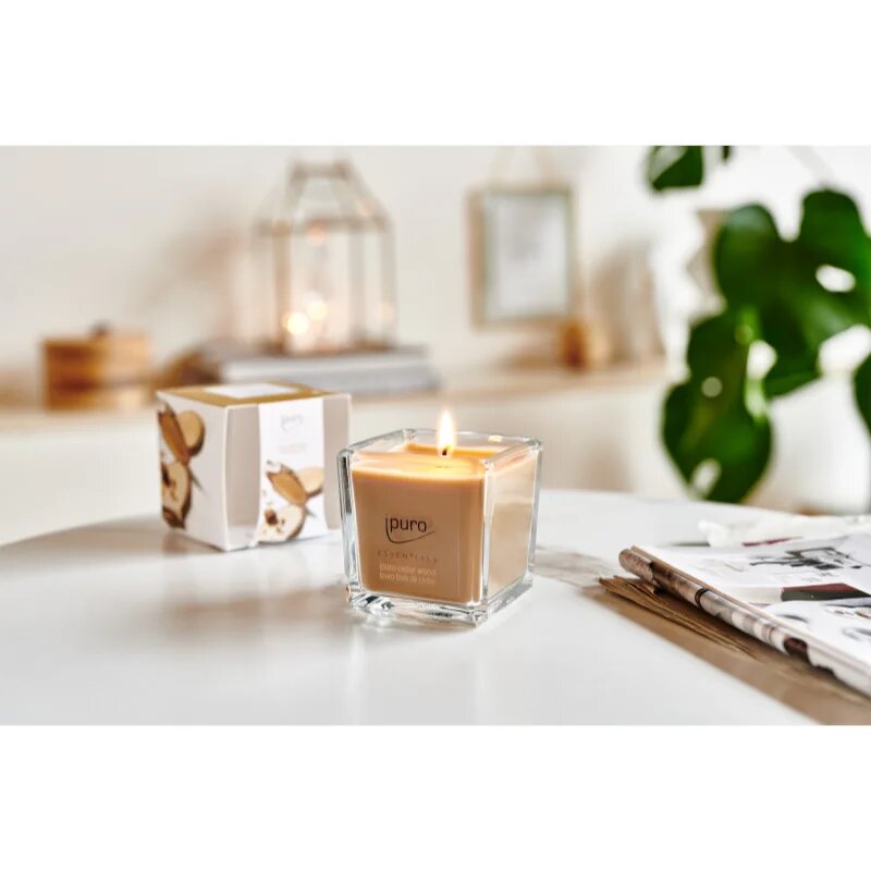 ípuro Essentials Cedar Wood dišeča sveča 125 g