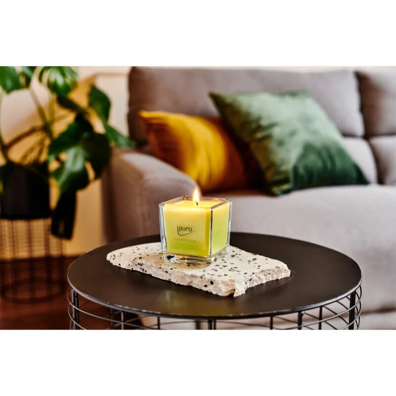 ípuro Essentials Lime Light dišeča sveča 125 g