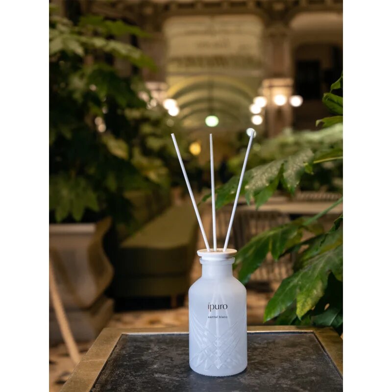 ípuro Exclusive Santal Blanc aroma difuzor 240 ml