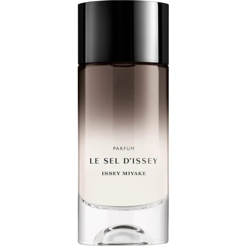 Issey Miyake Le Sel d'Issey parfum za moške 100 ml