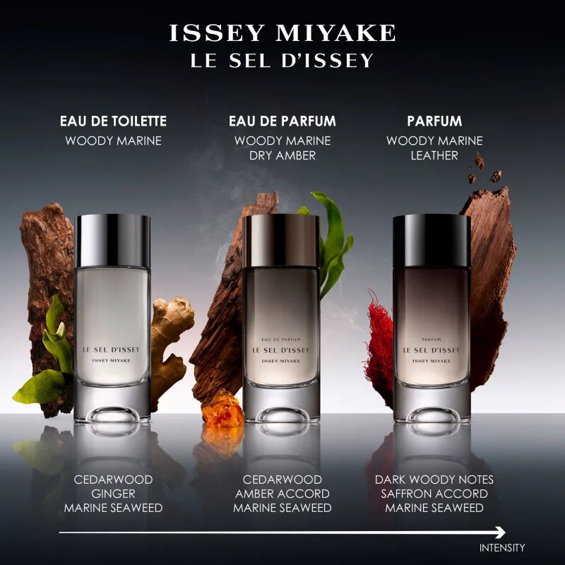 Issey Miyake Le Sel d'Issey parfum za moške 100 ml