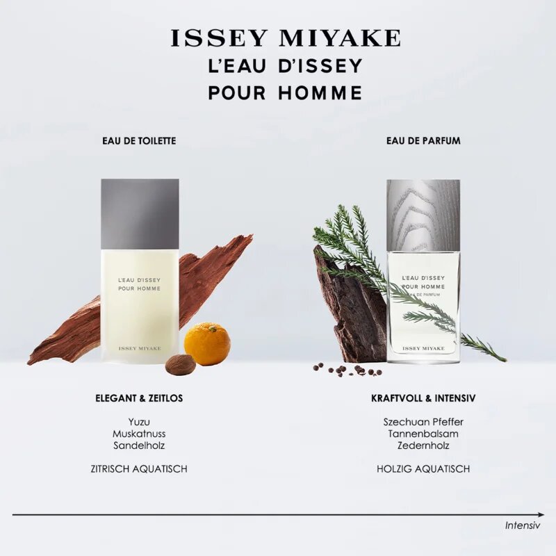 Issey Miyake L'Eau d'Issey Pour Homme parfumska voda za moške 125 ml