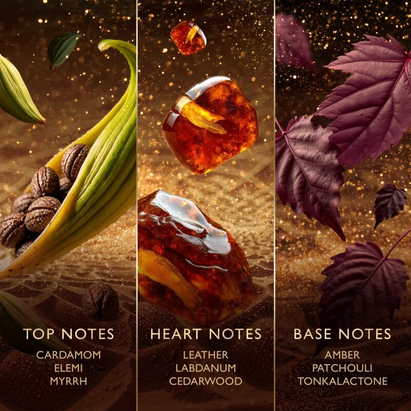 Jawhara Amberwood Nomad parfumska voda uniseks 100 ml