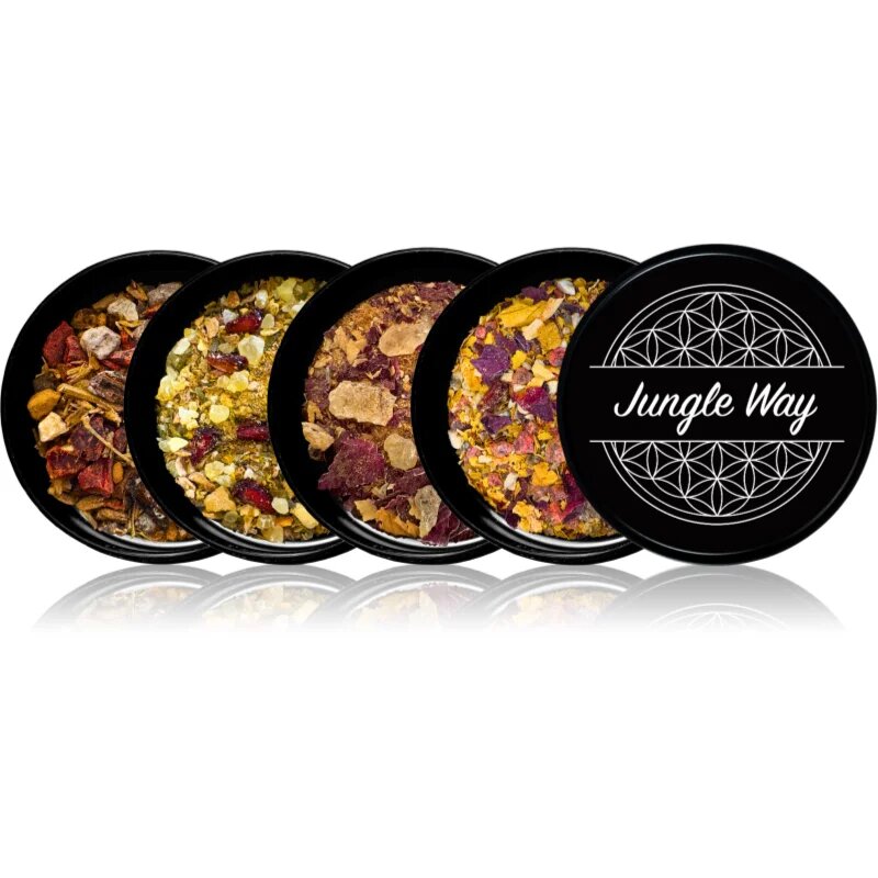Jungle Way Discovery set Celebrate Your Love kadila