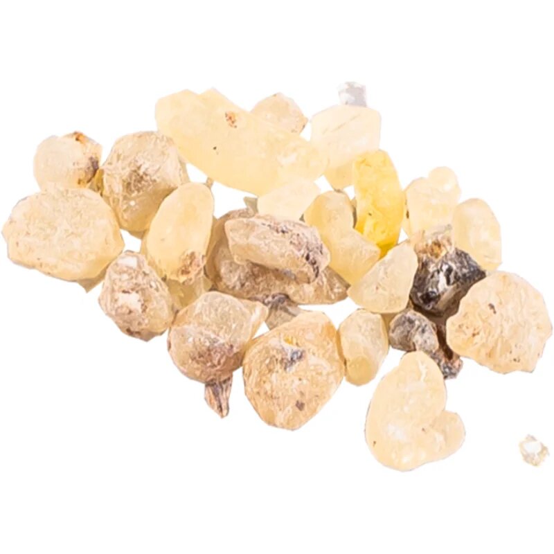 Jungle Way Oman Standard kadilo 20 g