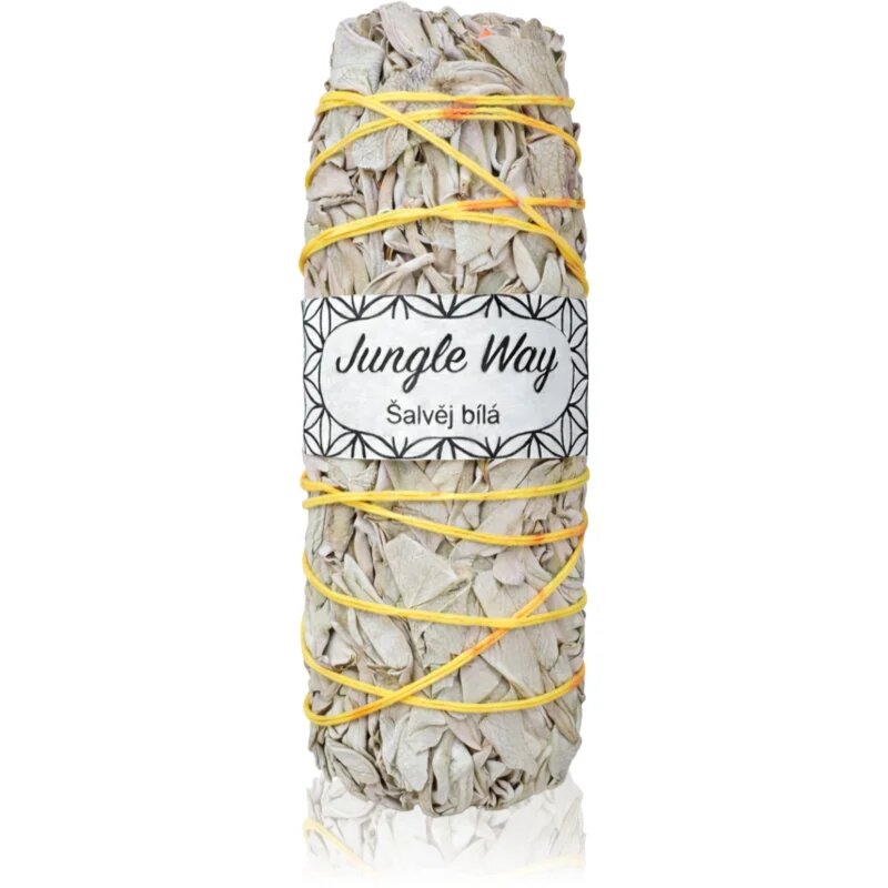 Jungle Way White Sage kadila 10 cm