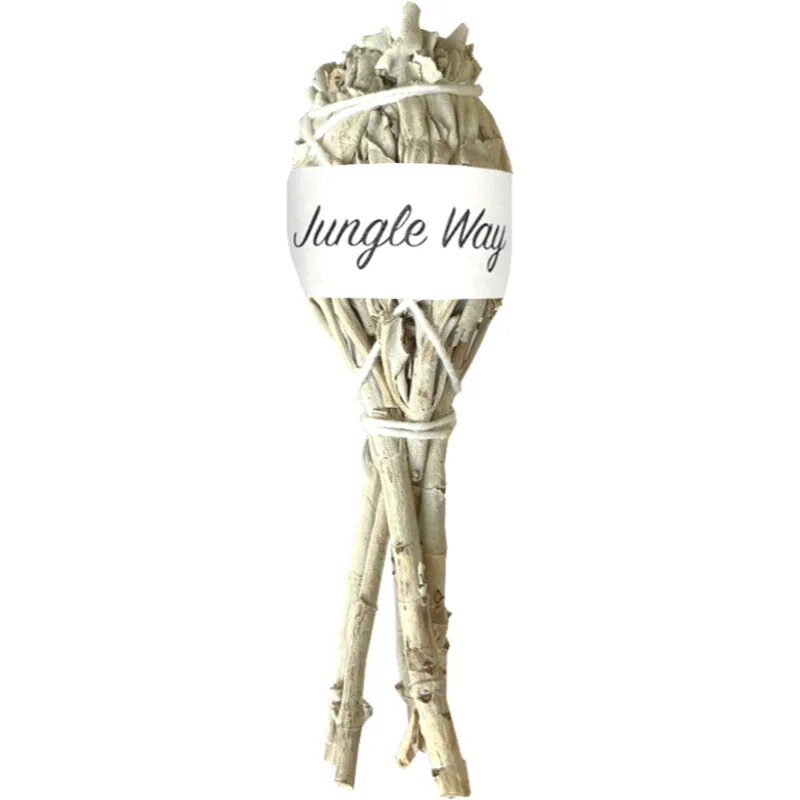 Jungle Way White Sage kadila 10 cm