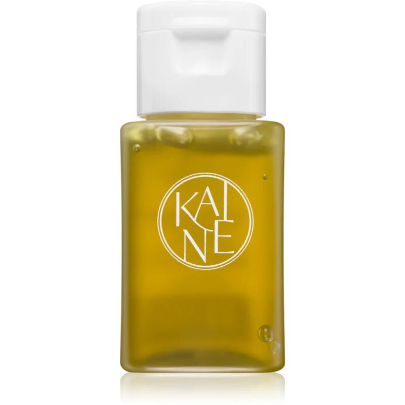 KAINE Travel Kit Potovalni set za popolno polt