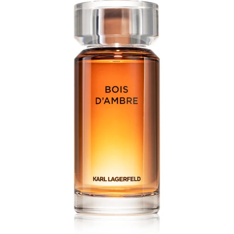 Karl Lagerfeld Bois d´Ambre toaletna voda za moške 100 ml