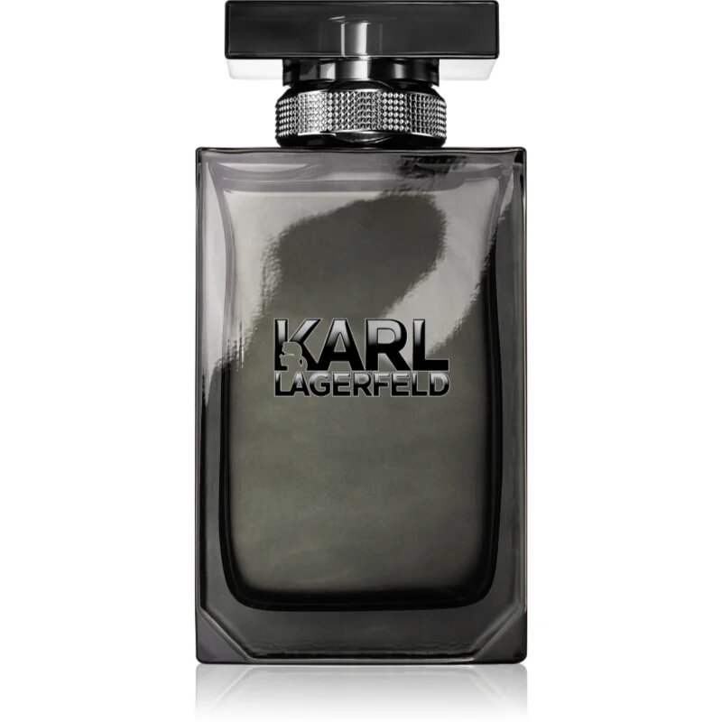 Karl Lagerfeld for Him toaletna voda za moške 100 ml