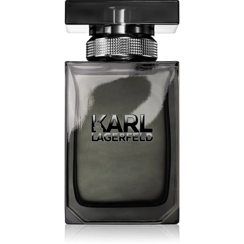 Karl Lagerfeld for Him toaletna voda za moške 50 ml
