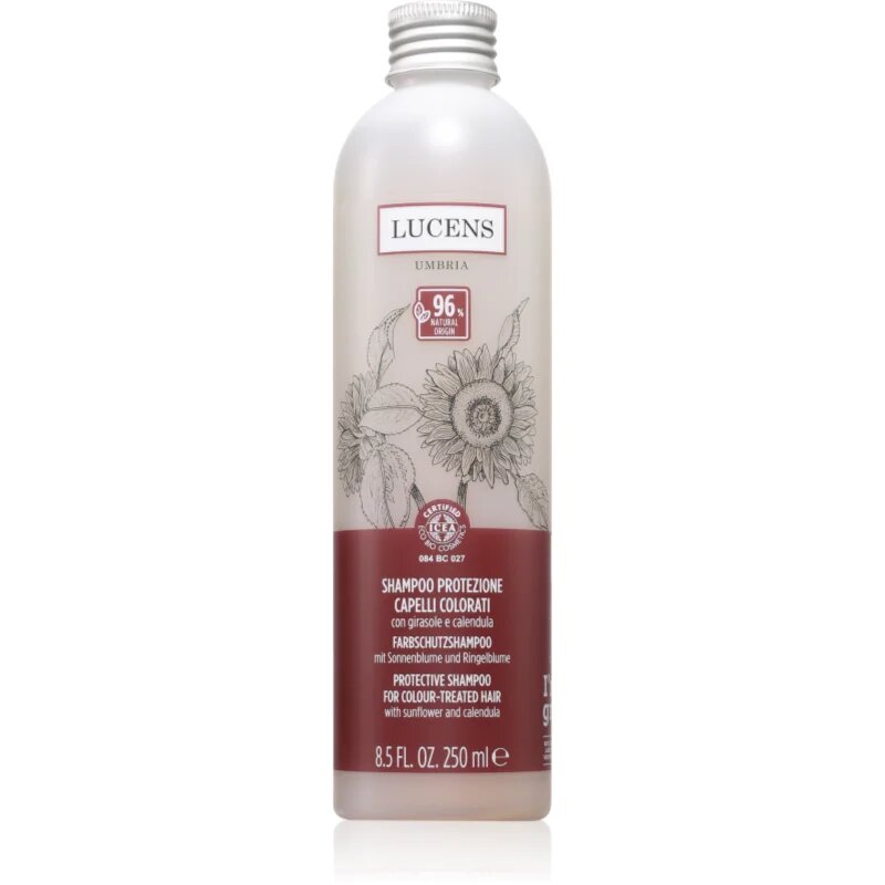 Kemon Group Shampoo Protezione šampon za zaščito barve 250 ml