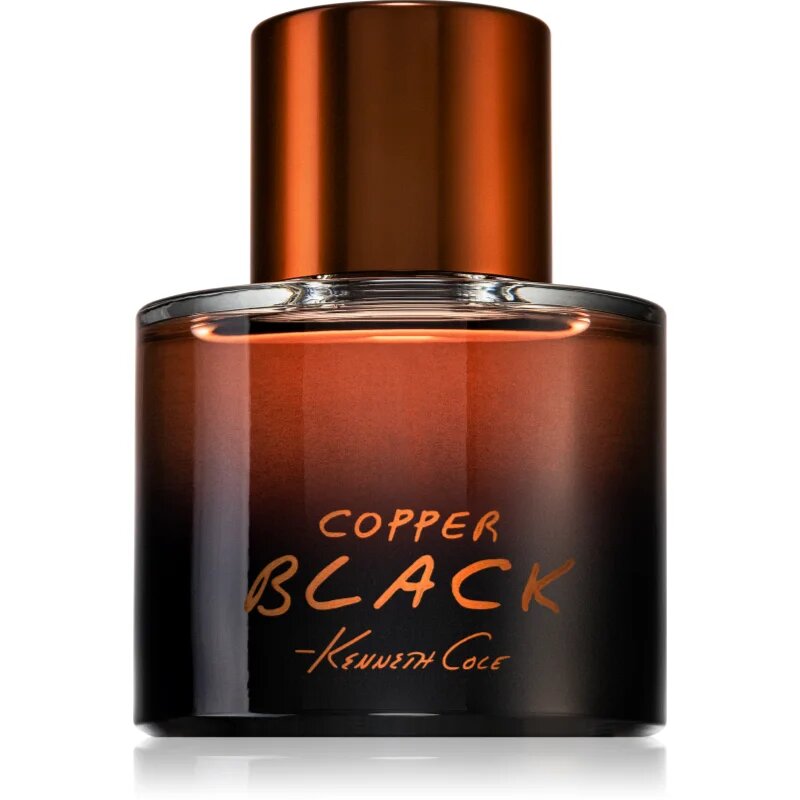 Kenneth Cole Copper Black toaletna voda za moške 100 ml