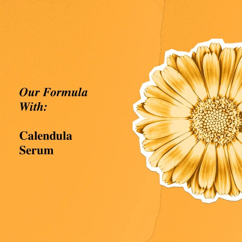 Kiehl's Calendula Serum-Infused Water Cream lahka vlažilna dnevna krema za vse tipe kože vključno z občutljivo kožo 50 ml