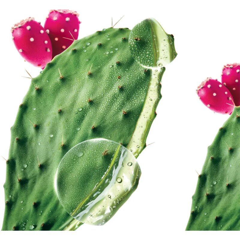 Klorane Prickly Pear intenzivno vlažilni šampon 200 ml