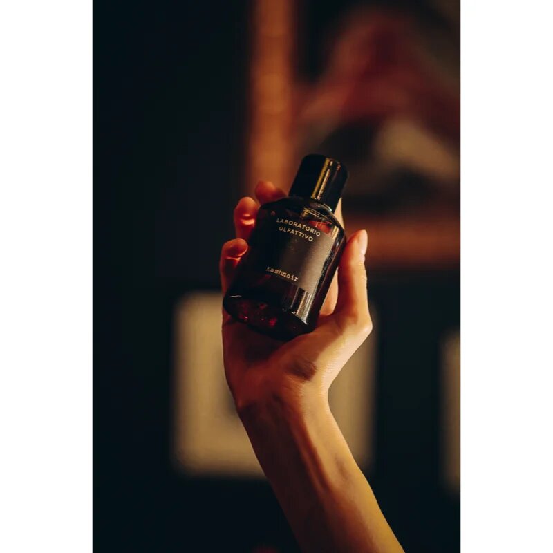 Laboratorio Olfattivo Kashnoir parfumska voda uniseks 100 ml