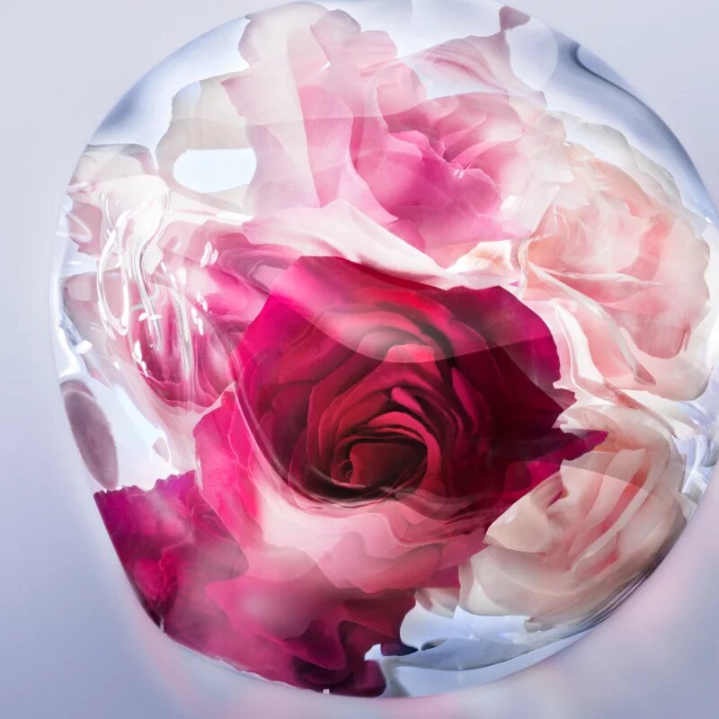 Lancôme La Vie Est Belle Rose Extraordinaire parfumska voda za ženske 50 ml