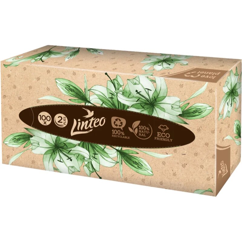 Linteo Paper Tissues Two-ply Paper 100 pcs per box papirnati robčki 100 kos