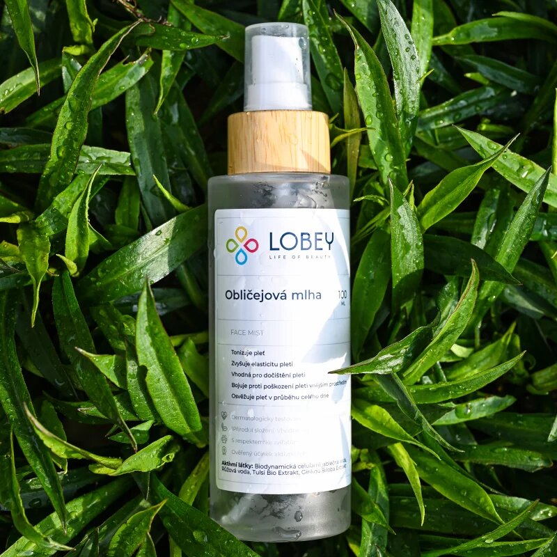Lobey Skin Care Obličejová Mlha meglica za tonizacijo obraza 100 ml