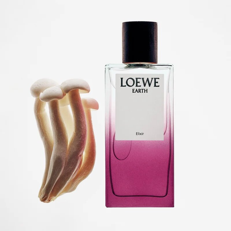 Loewe Earth Elixir parfumska voda uniseks 100 ml