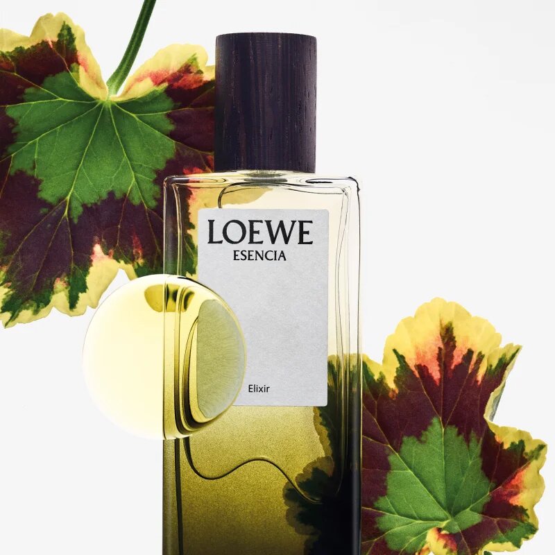 Loewe Esencia Elixir parfum za moške 50 ml