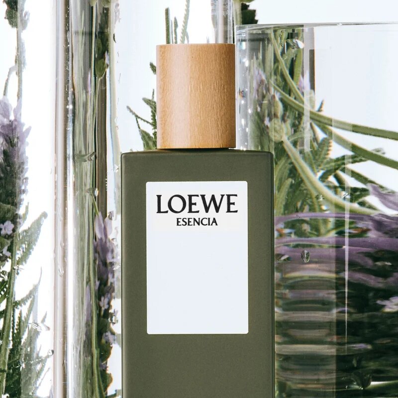Loewe Esencia toaletna voda za moške 50 ml