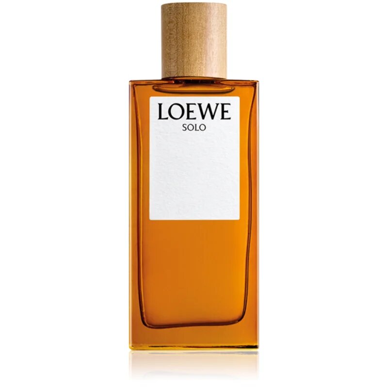 Loewe Solo toaletna voda za moške 100 ml