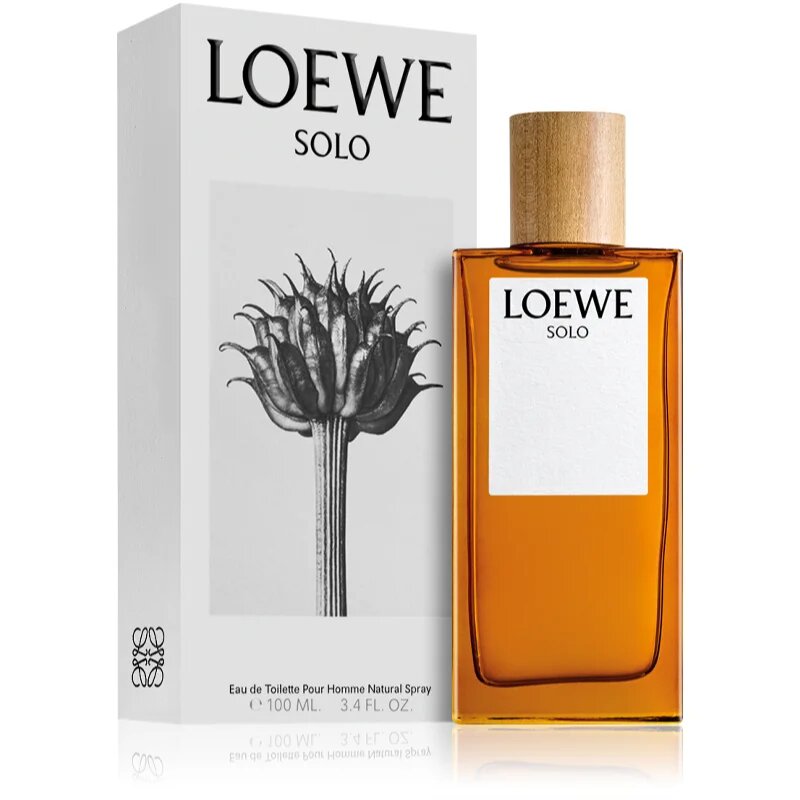 Loewe Solo toaletna voda za moške 100 ml
