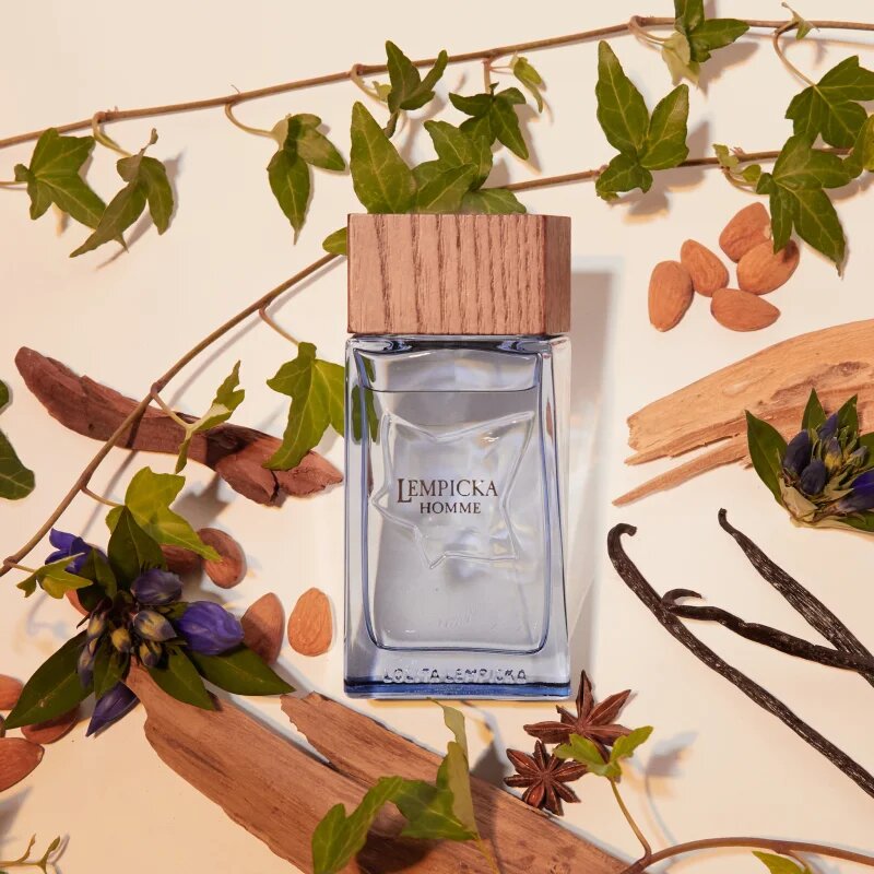 Lolita Lempicka Lempicka Homme toaletna voda za moške 100 ml