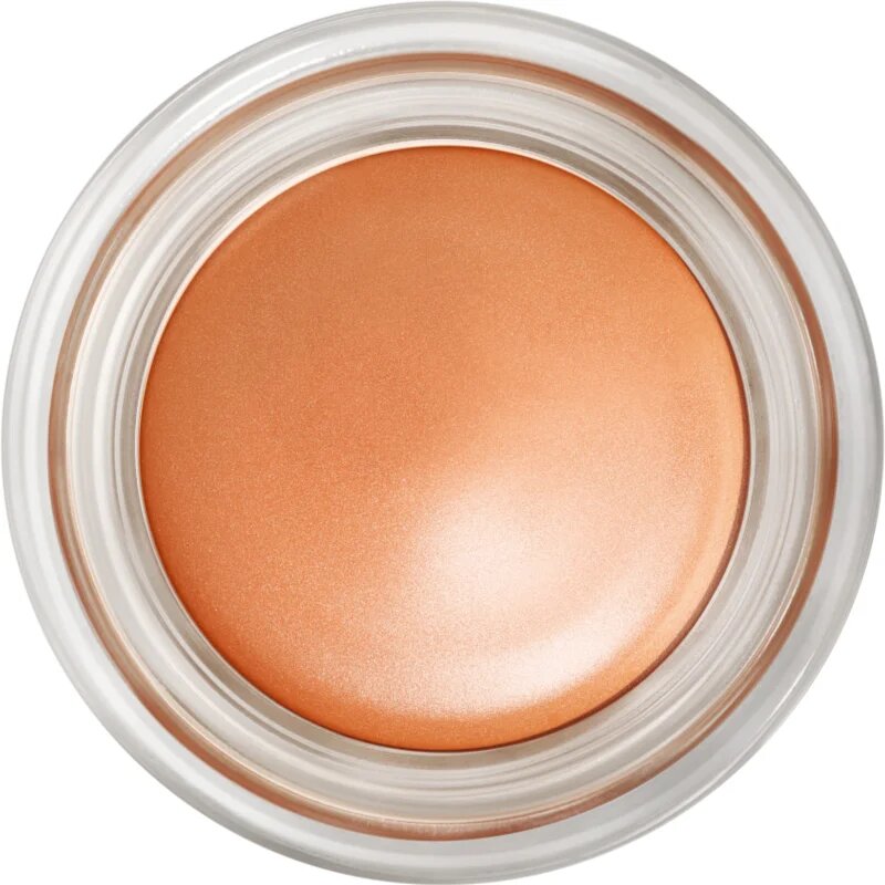 MAC Cosmetics Pro Longwear Paint Pot kremasto senčila za oči odtenek Contemplative State 5 g
