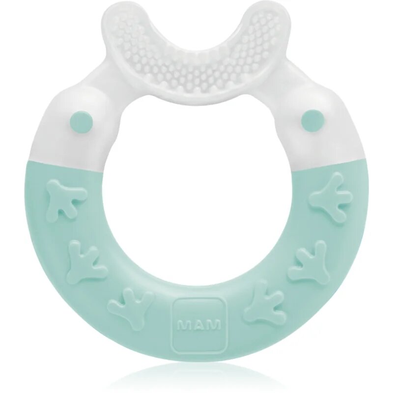MAM Bite & Brush grizalo 3m+ Turquoise 1 kos