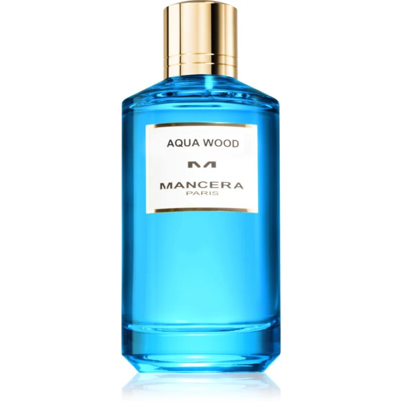 Mancera Aqua Wood parfumska voda za moške 120 ml