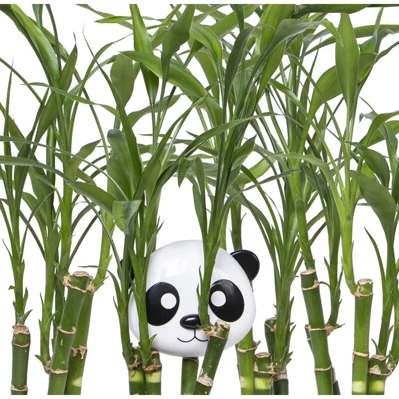 Melii Snack Container škatla za malico Panda 232 ml
