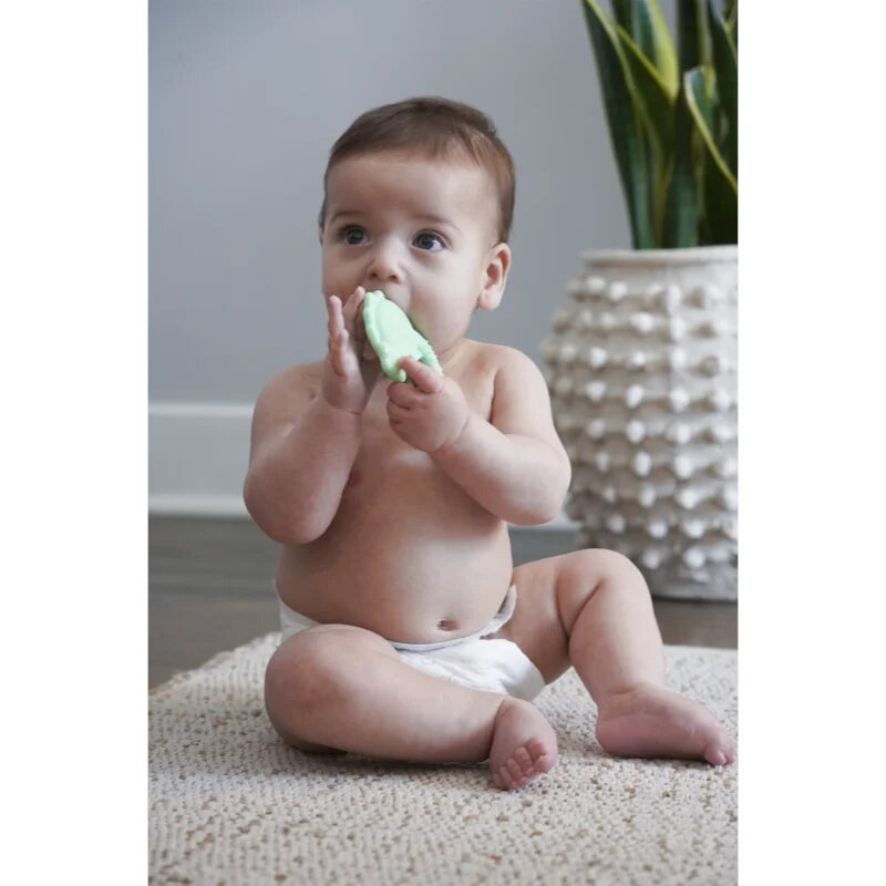 Melii Teethers grizalo Dino & Shark 2 kos