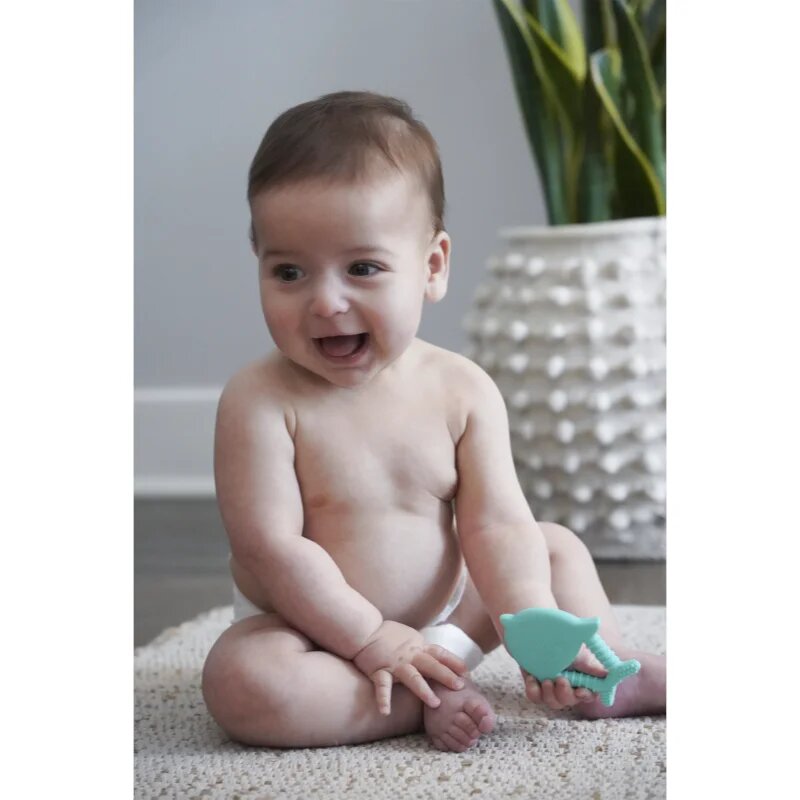 Melii Teethers grizalo Dino & Shark 2 kos