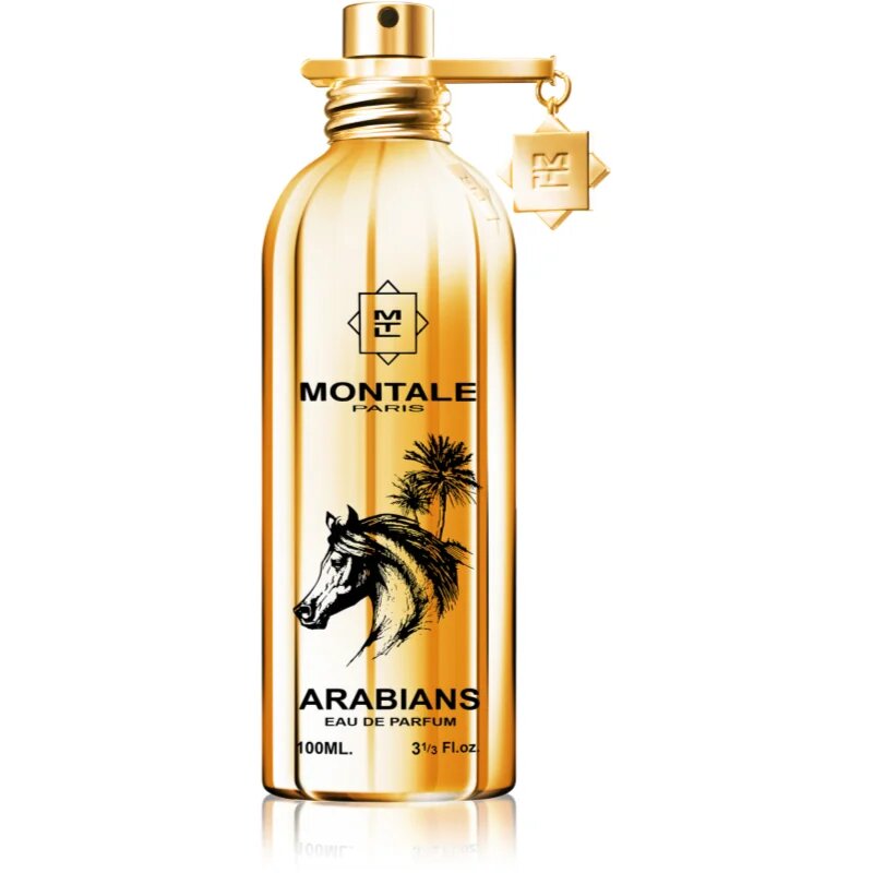 Montale Arabians parfumska voda uniseks 100 ml