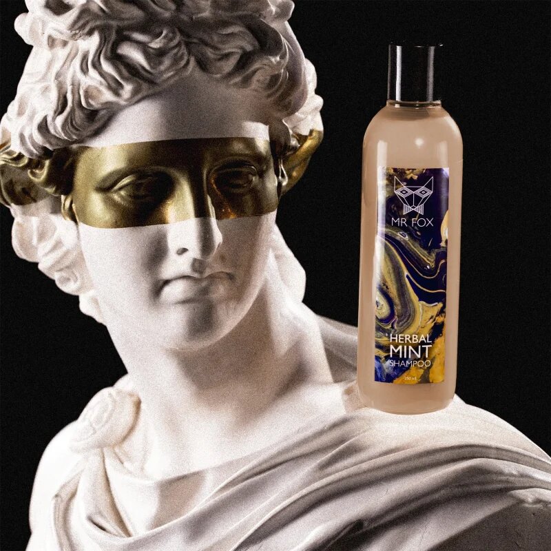 MR FOX Herbal Mint Shampoo zeliščni šampon za moške 250 ml