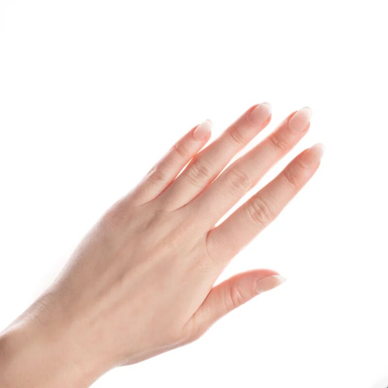 Nail HQ Oval French umetni nohti 24 kos