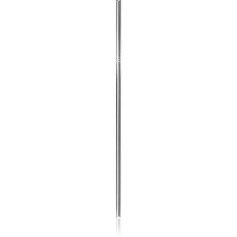 Naturalis Stainless Steel Straw set set za vsakodnevno uporabo