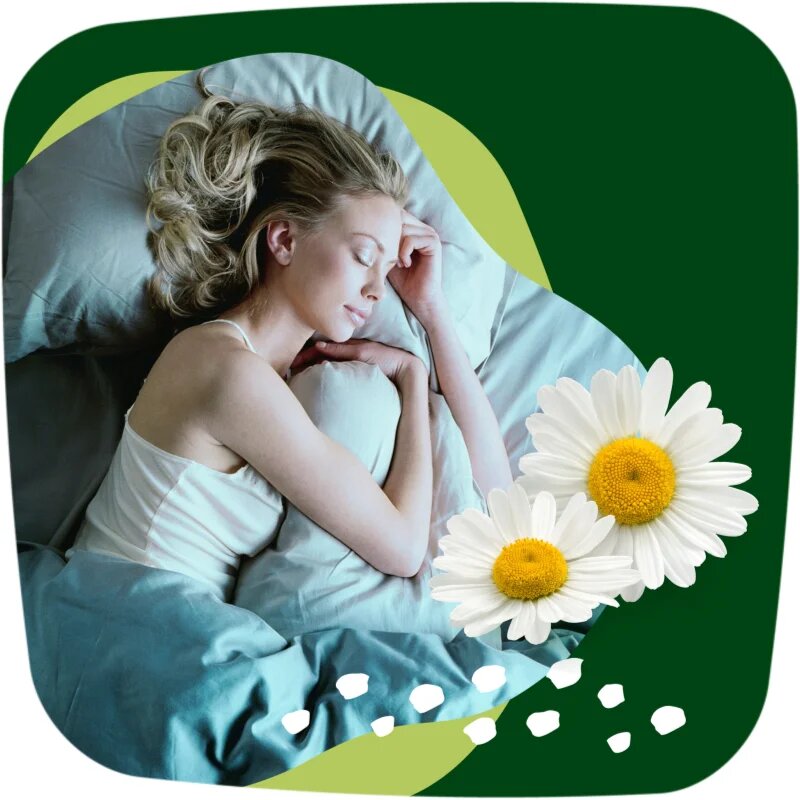 Naturella Ultra Night Plus menstrualni vložki za noč 24 kos