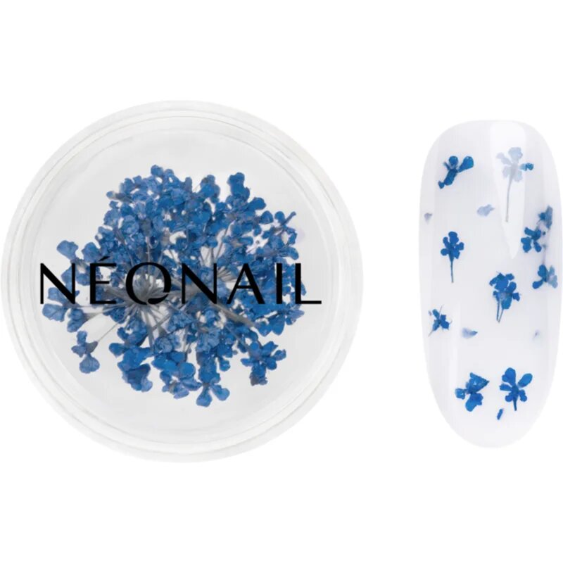 NeoNail Dried Flowers sušen cvet za nohte odtenek 04 Navy 1 kos