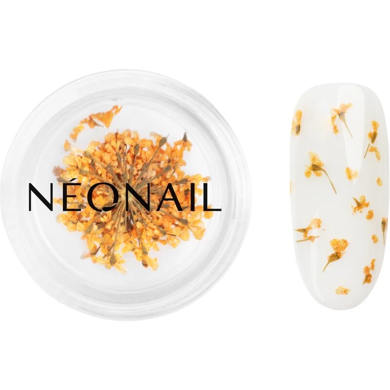 NeoNail Dried Flowers sušen cvet za nohte odtenek Orange 1 kos