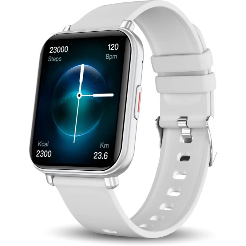 Niceboy Watch 4 pametna ura Arctic Silver 1 kos