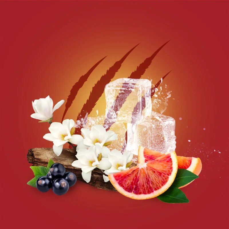 Old Spice Tigerclaw trdi deodorant za moške 50 ml