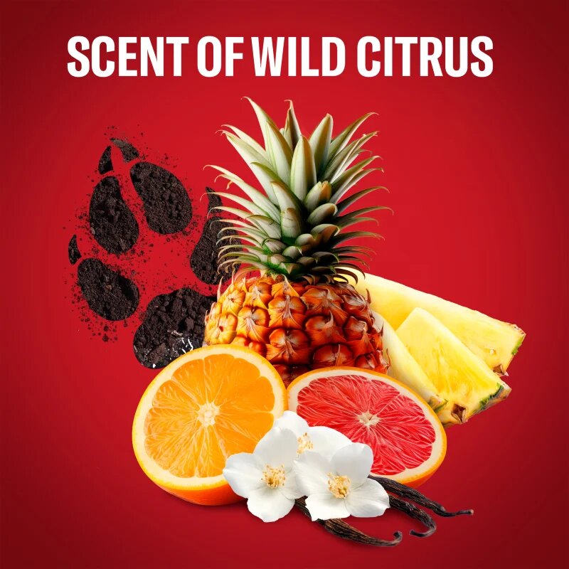Old Spice Wolfthorn trdi deodorant za moške 50 ml